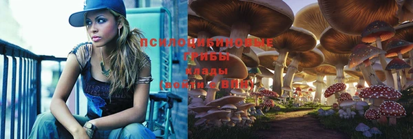 jwh Беломорск