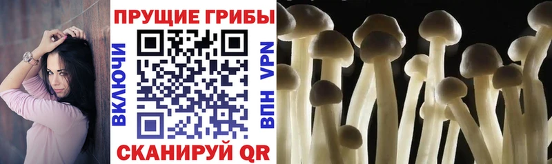 Купить  Десногорск  Псилоцибиновые грибы ЛСД 